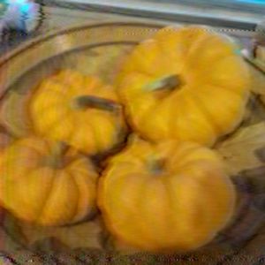 Meet your Posher, Logan